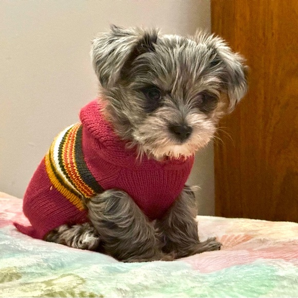 FOLLOW GAME! I FOLLOW EVERYONE BACK! - Picture 3 of 15